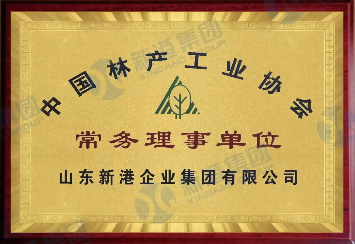 Uitvoerend directeur van de China Forestry Industry Association