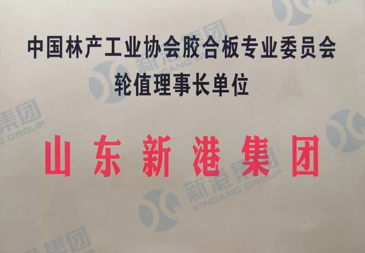 Wisselende voorzitter van de Plywood Professional Committee van de China Forestry Industry Association