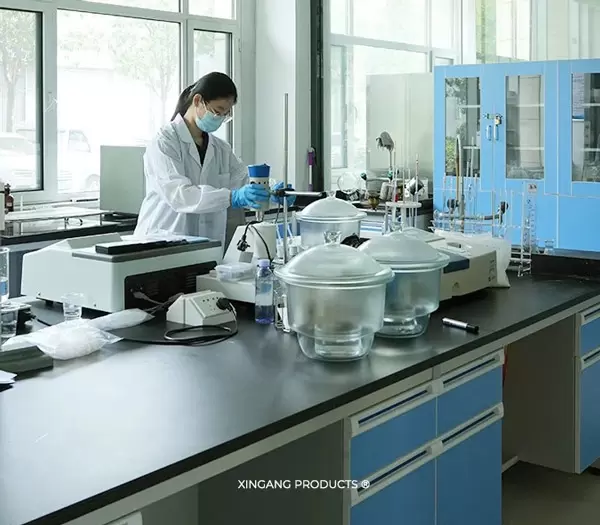 XINGANG ONDERZOEKSINSTITUUT